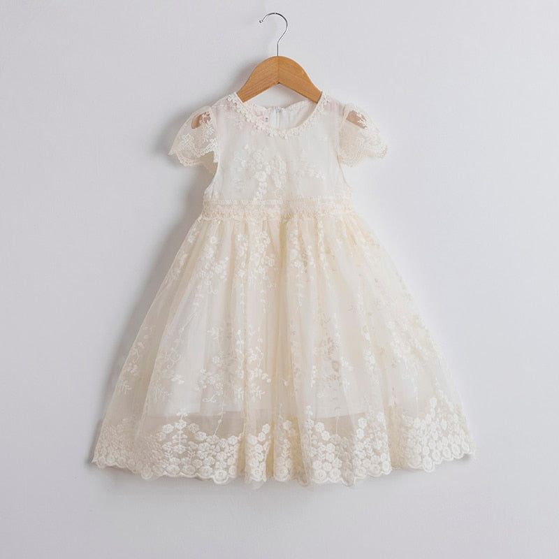 Lace Girls Princess Dress Fluffy kid dress