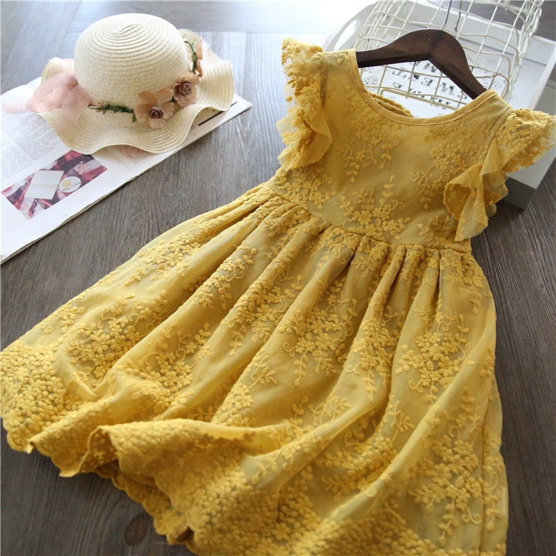 Lace Girls Princess Dress Fluffy kid dress